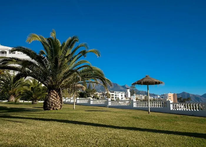 Edf. Palmeras 2º 40 Appartamento